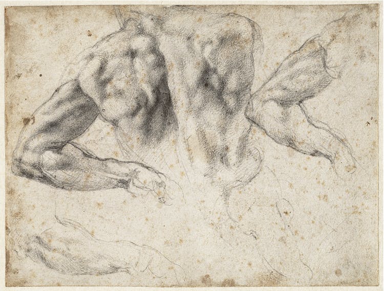 Study of the back and left arm of a male nude for the tomb of Giuliano de’ Medici, 1523–24. Black chalk; 19.2 x 25.7 cm  All works on these pages: Michelangelo Buonarroti (Italian, 1475–1564). Teylers Museum, purchased in 1790. © Teylers Museum, Haarlem
